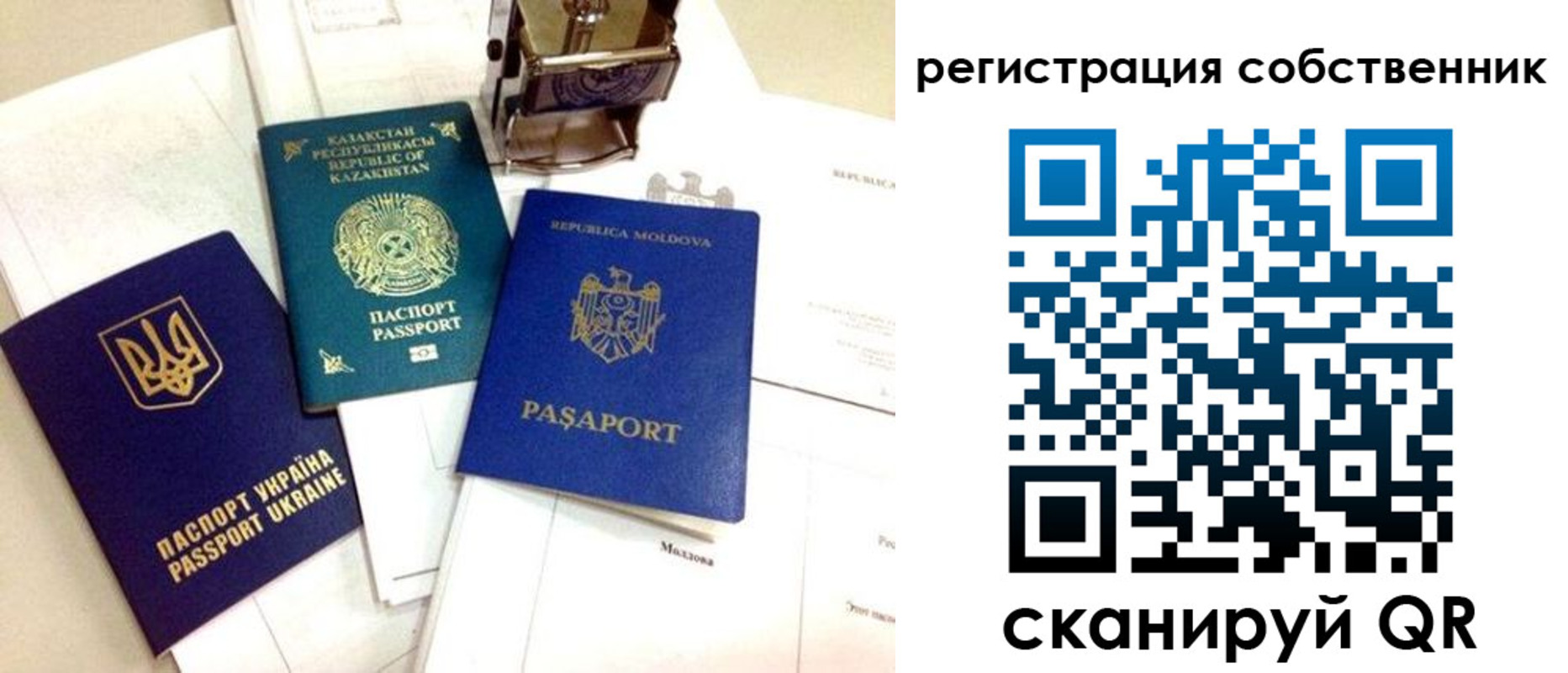 временная регистрация поиск в Белгородской области